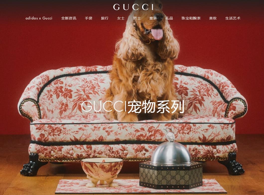 江南官网一张宠物床卖7万 Gucci、LV、爱马仕……奢侈品牌纷纷抢滩“它经济”(图1)