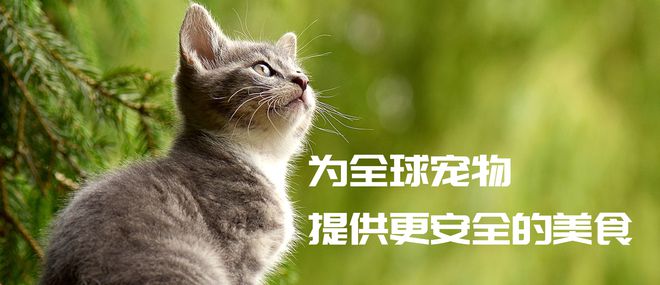 山东帅克宠江南官网物用品股份有限公司2023年中国宠物食品龙头企业分析(图1)